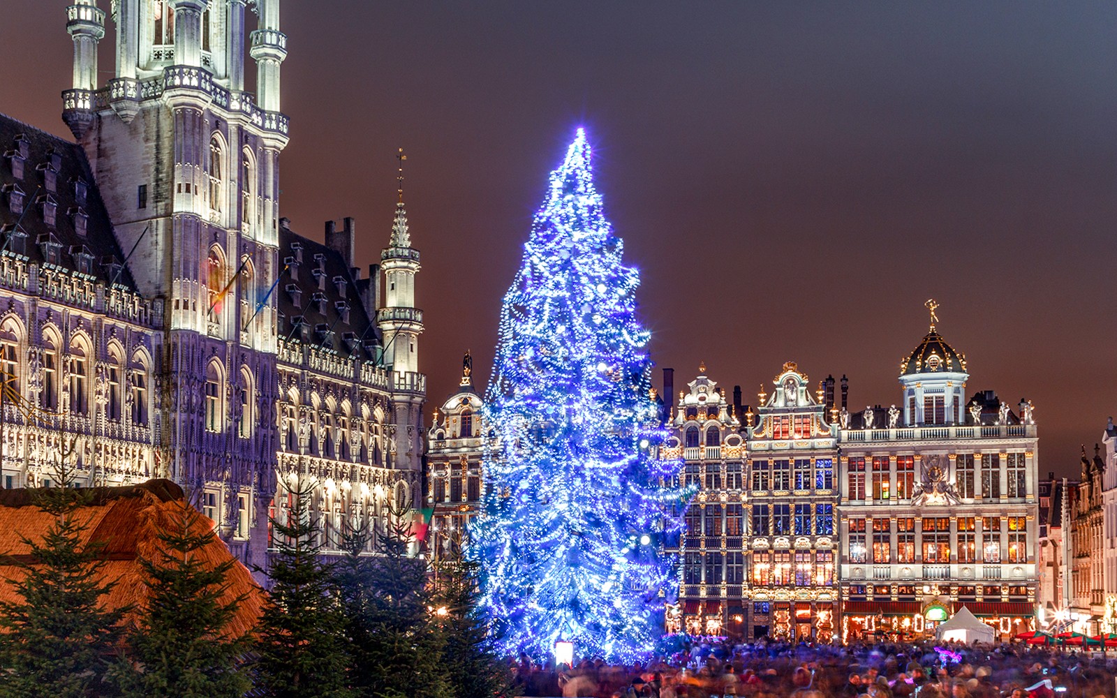 Grand Place Brussels with illuminated Christmas tree during lights tour.