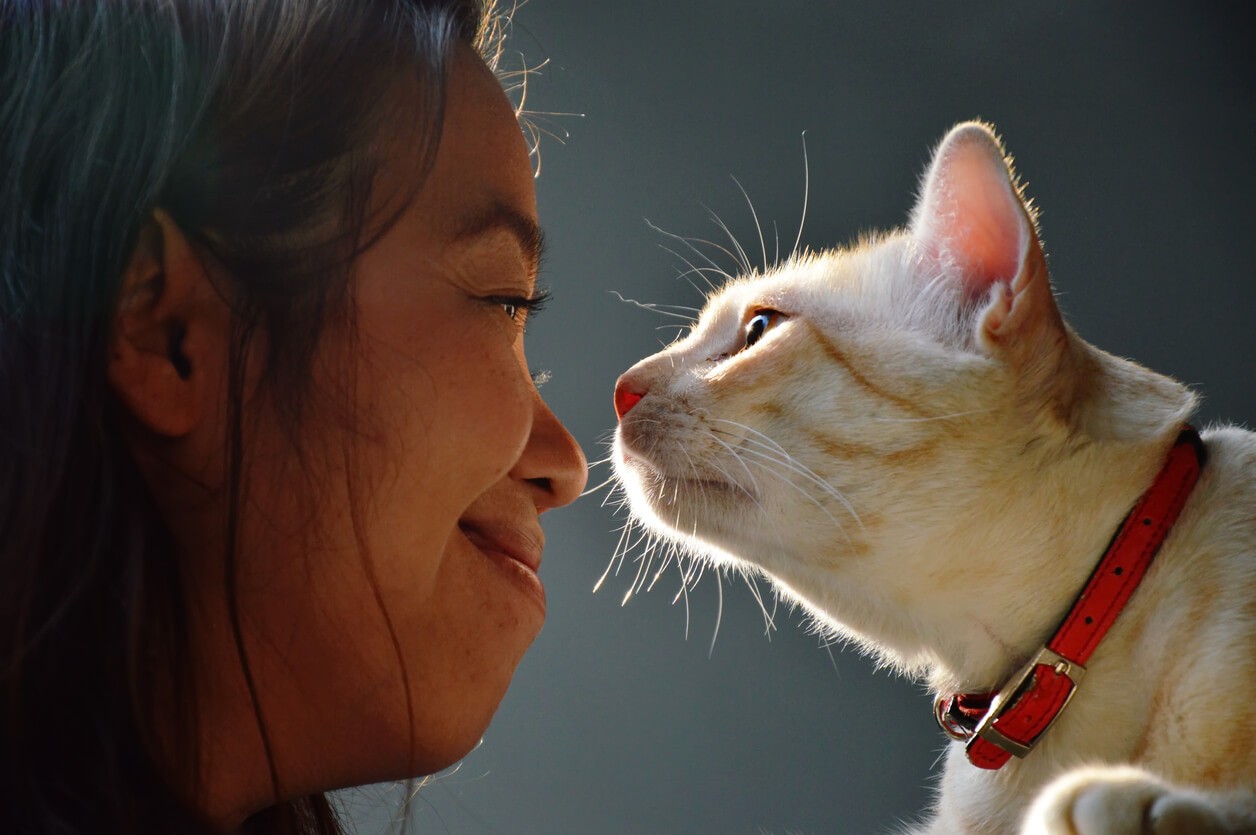 woman doing nose bob with cat