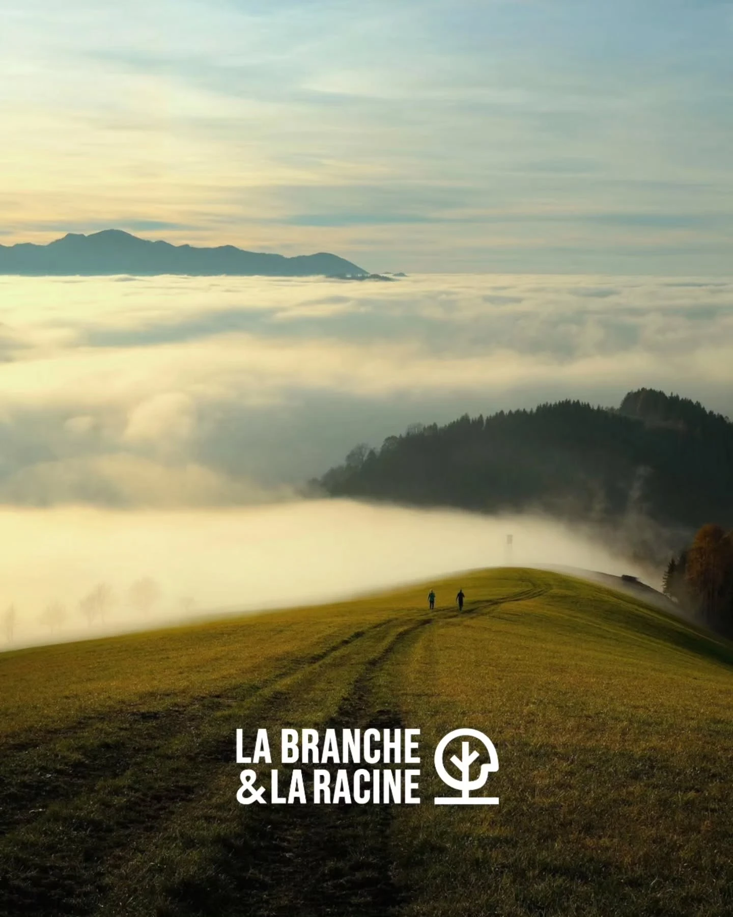 Création logo pour un centre de bien etre à Rennes
