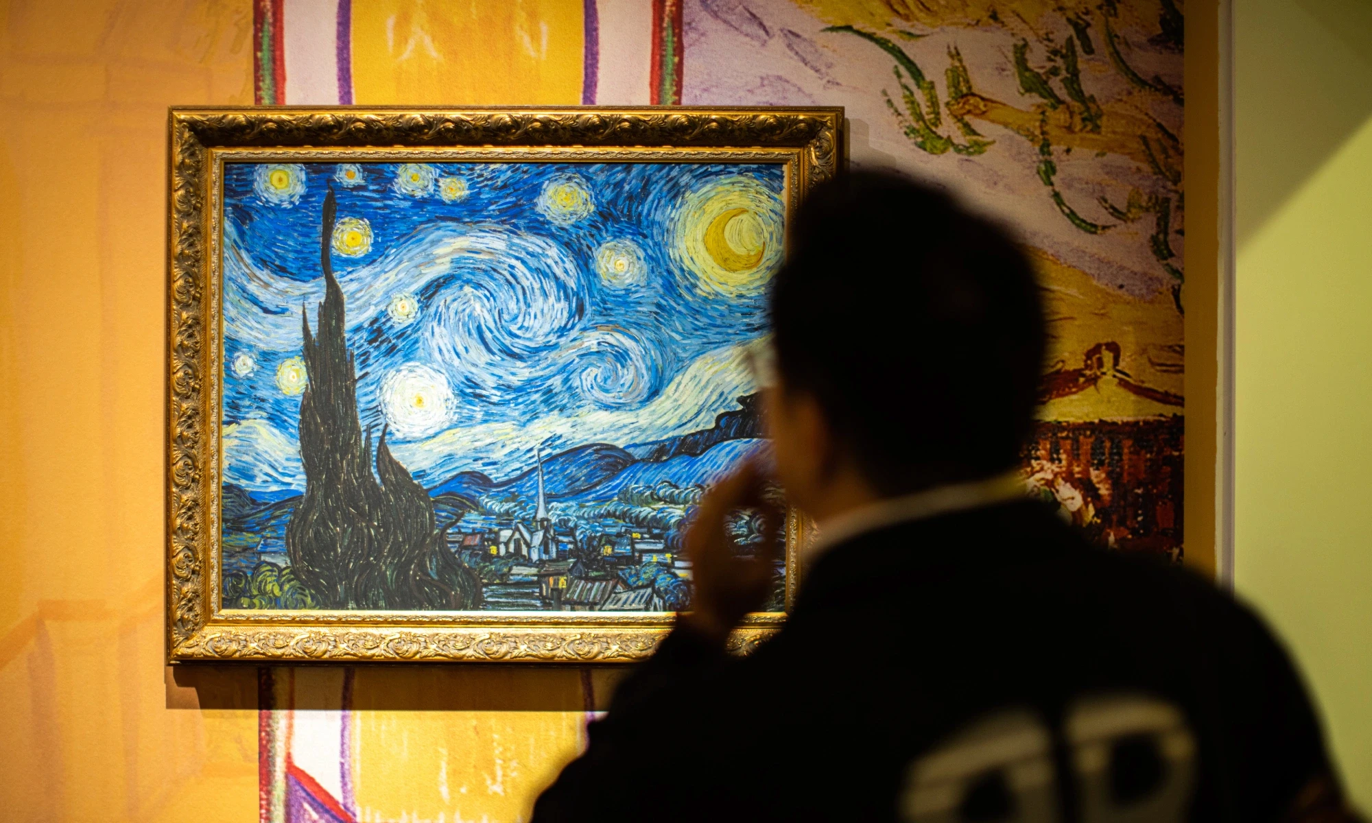 Man admiring Van Gogh's Starry Night painting from rear view