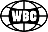 Company brand mark