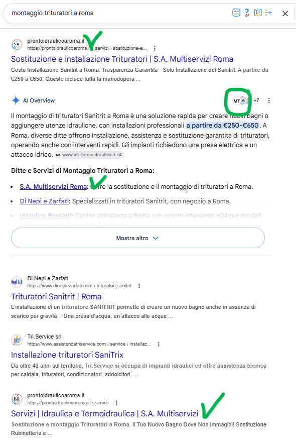 screen di visualizzazione risultati idraulico in organico e google overwiev