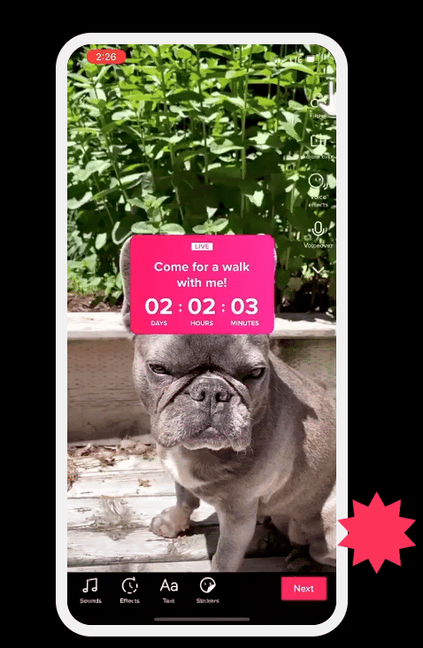 TikTok countdown sticker