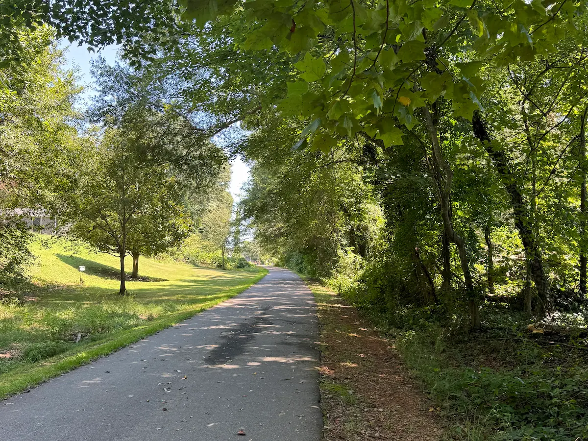 Paved walking path winding through green trees and grass in soft daylight.