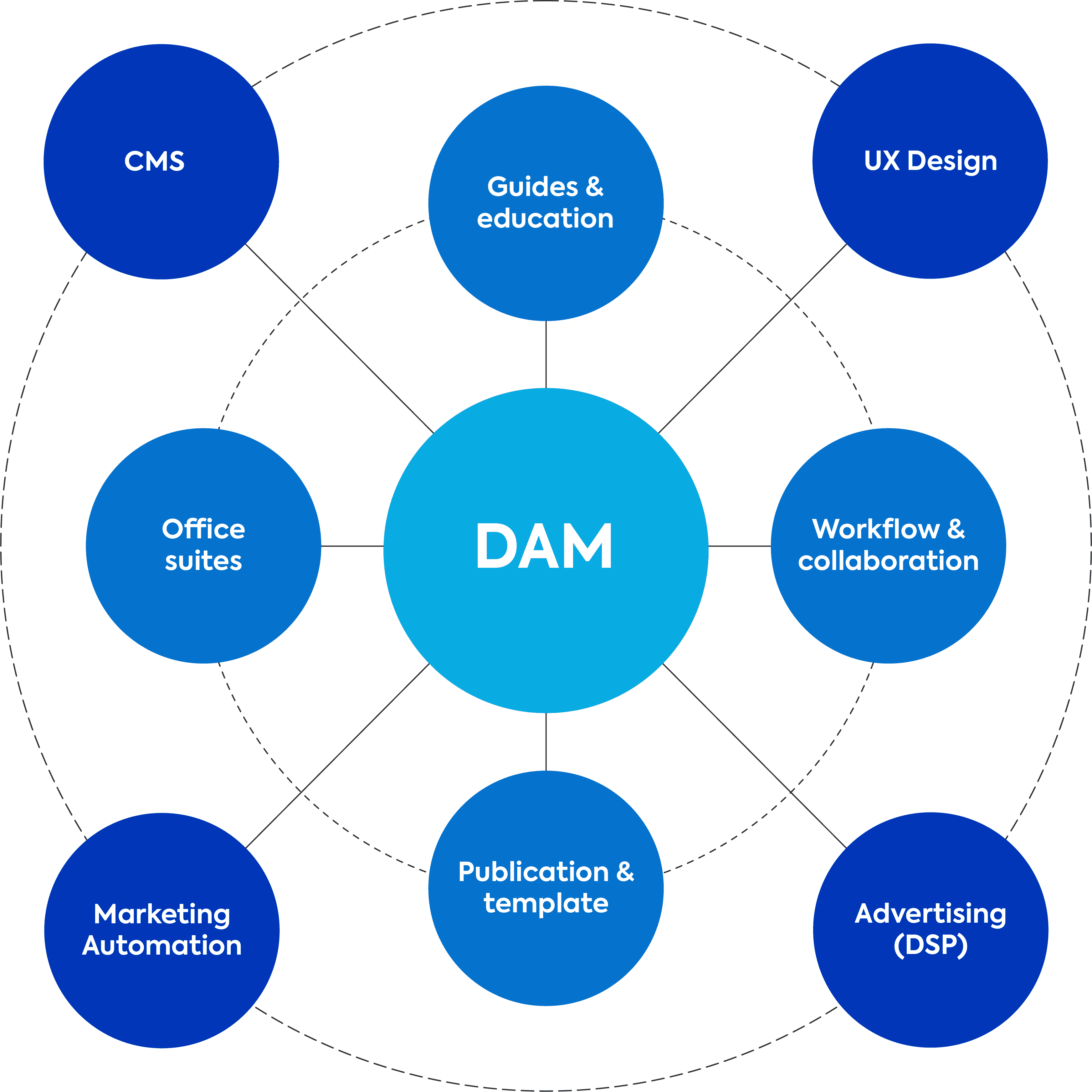 Digital Asset Management