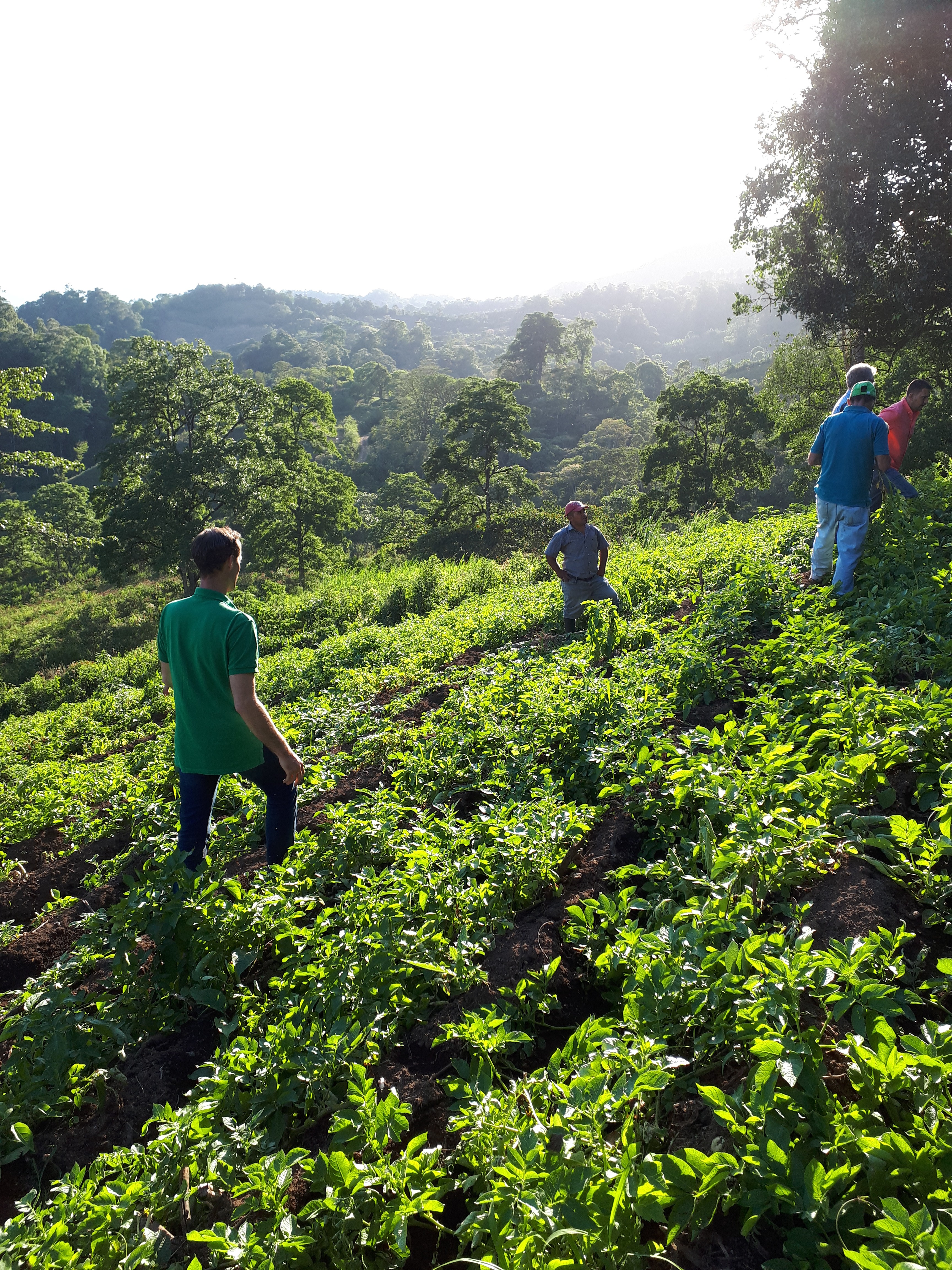 Solution Section Image