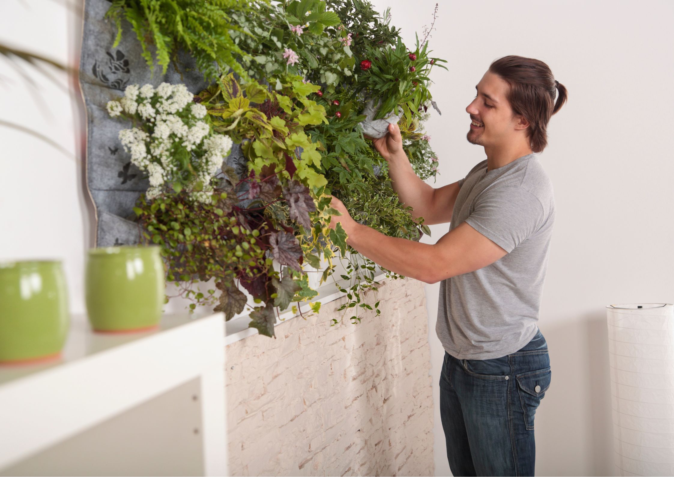 Ideal plants for a vertical garden at home
