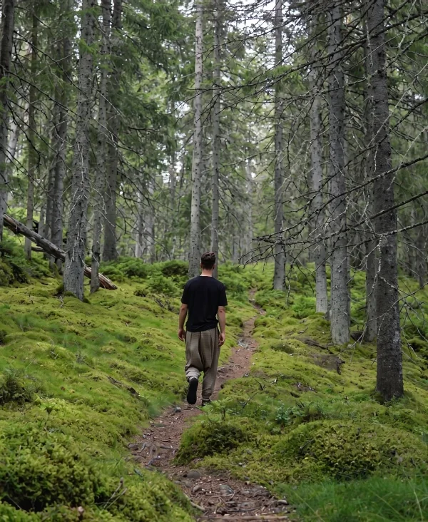 A person walking a narrow path through mossy pine forest.