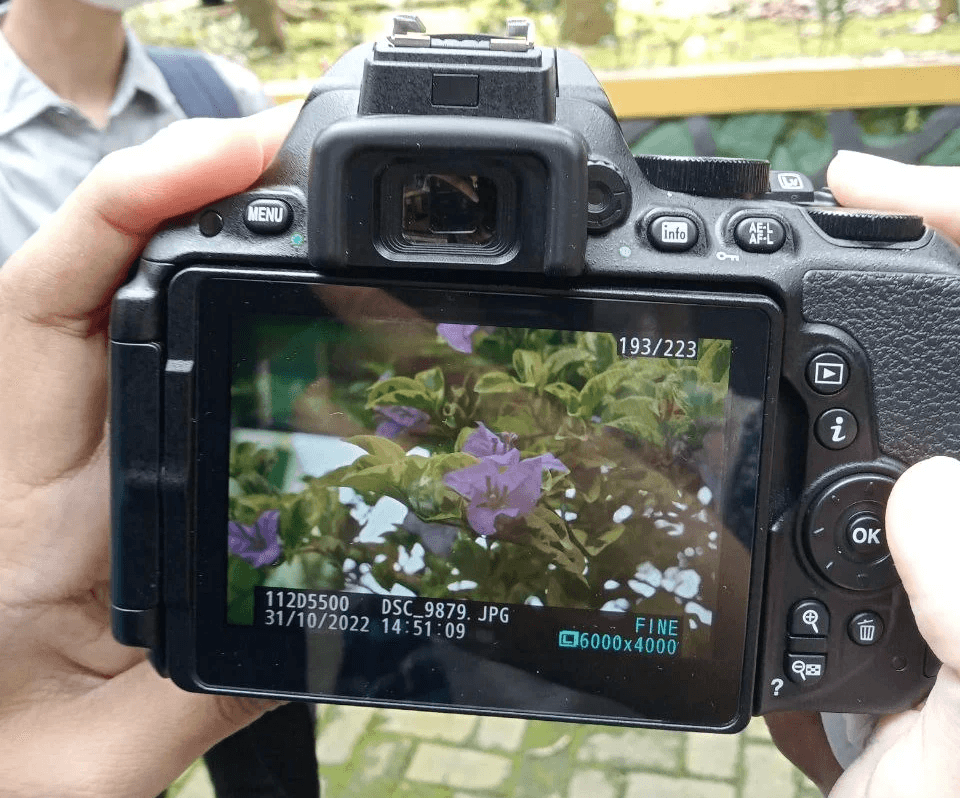 About Me Image - 4