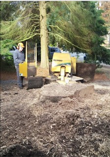 Stump Grinding