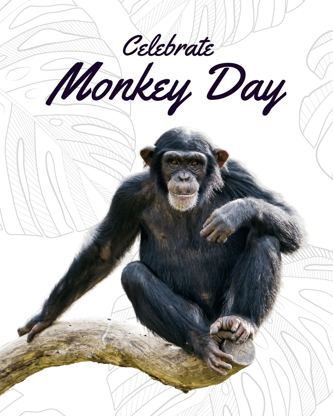 Monkey Day