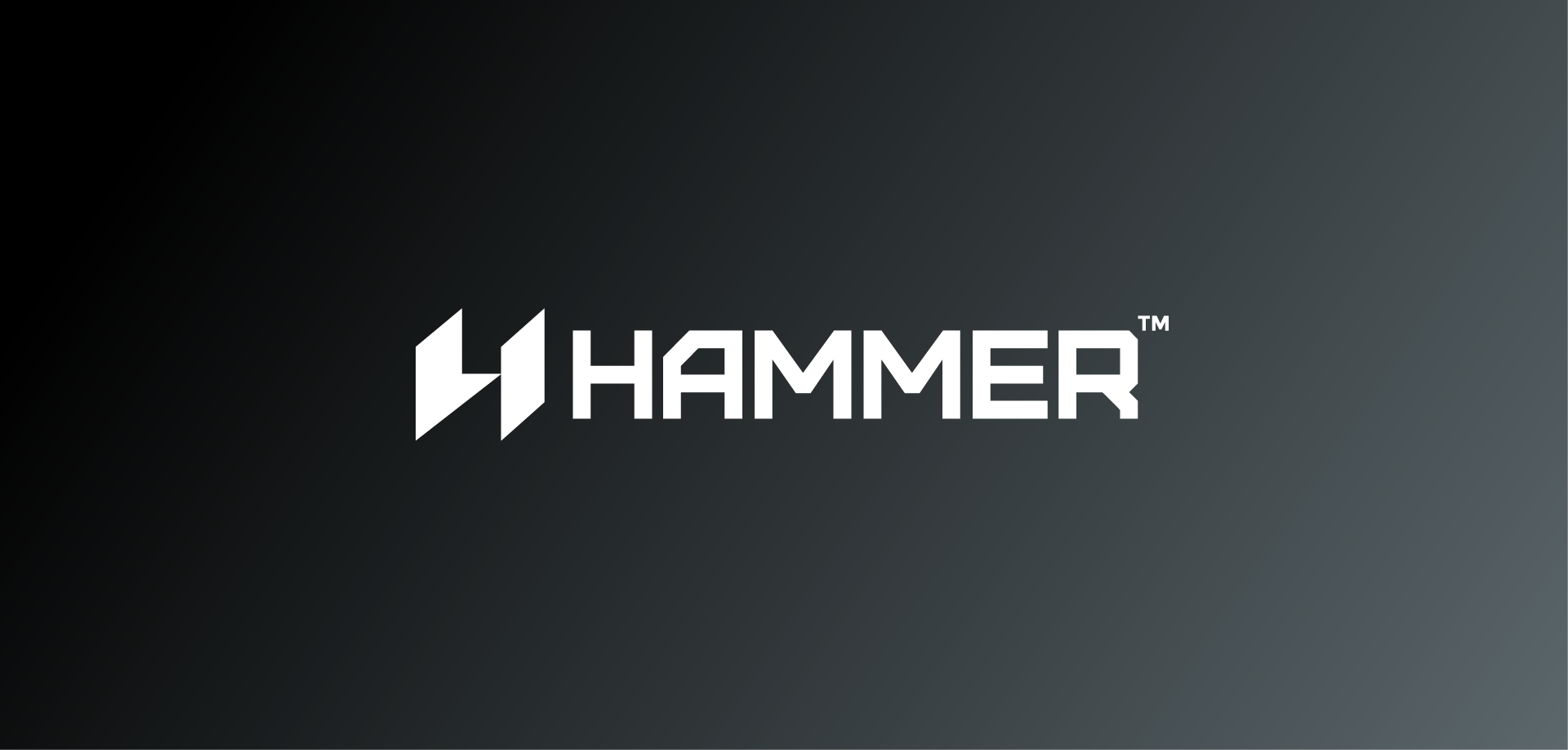 Hammer brand identity mockup