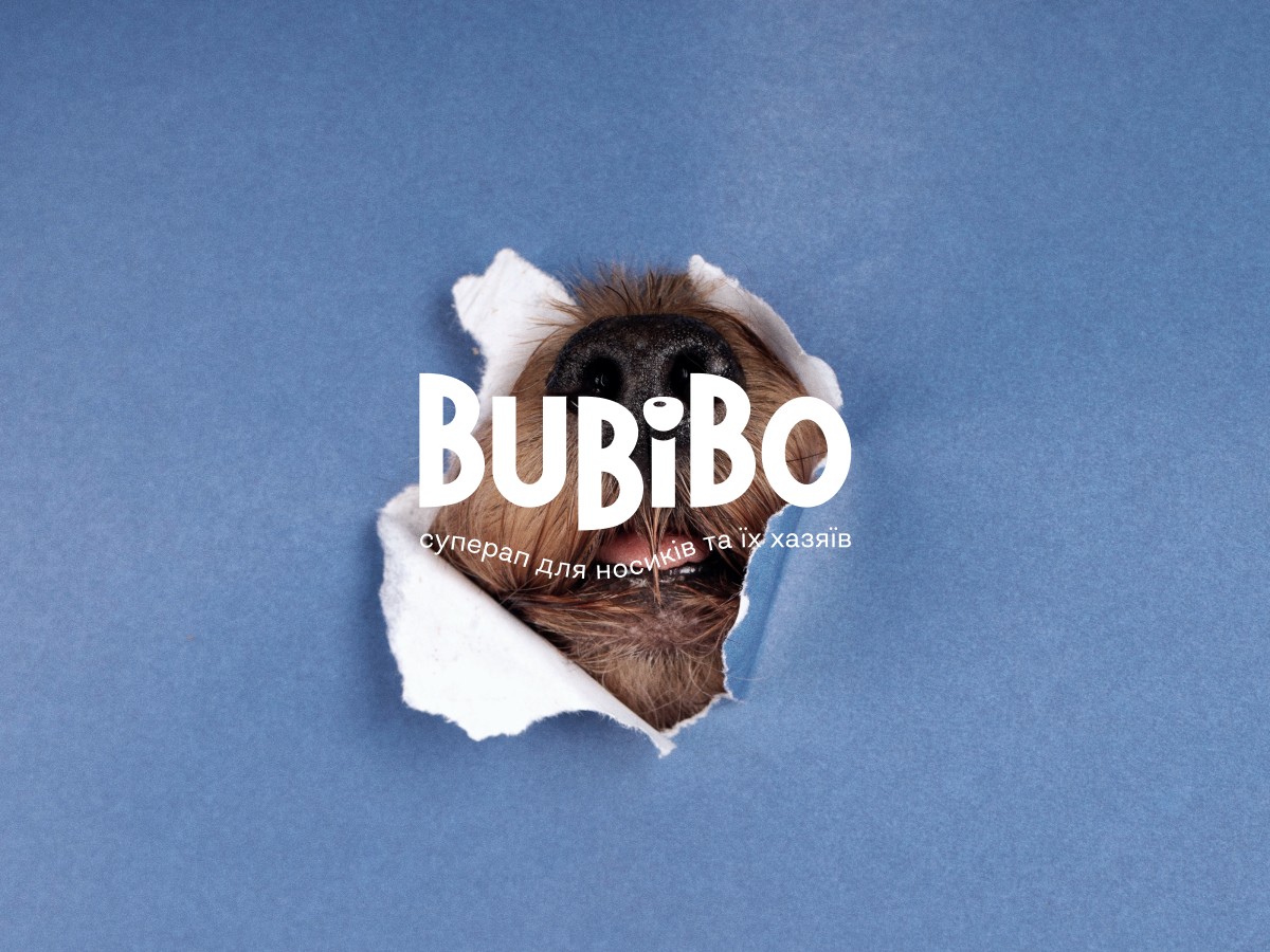 Custom website and mobile app for pet care and veterinary services BuBiBo 