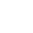 skull icon