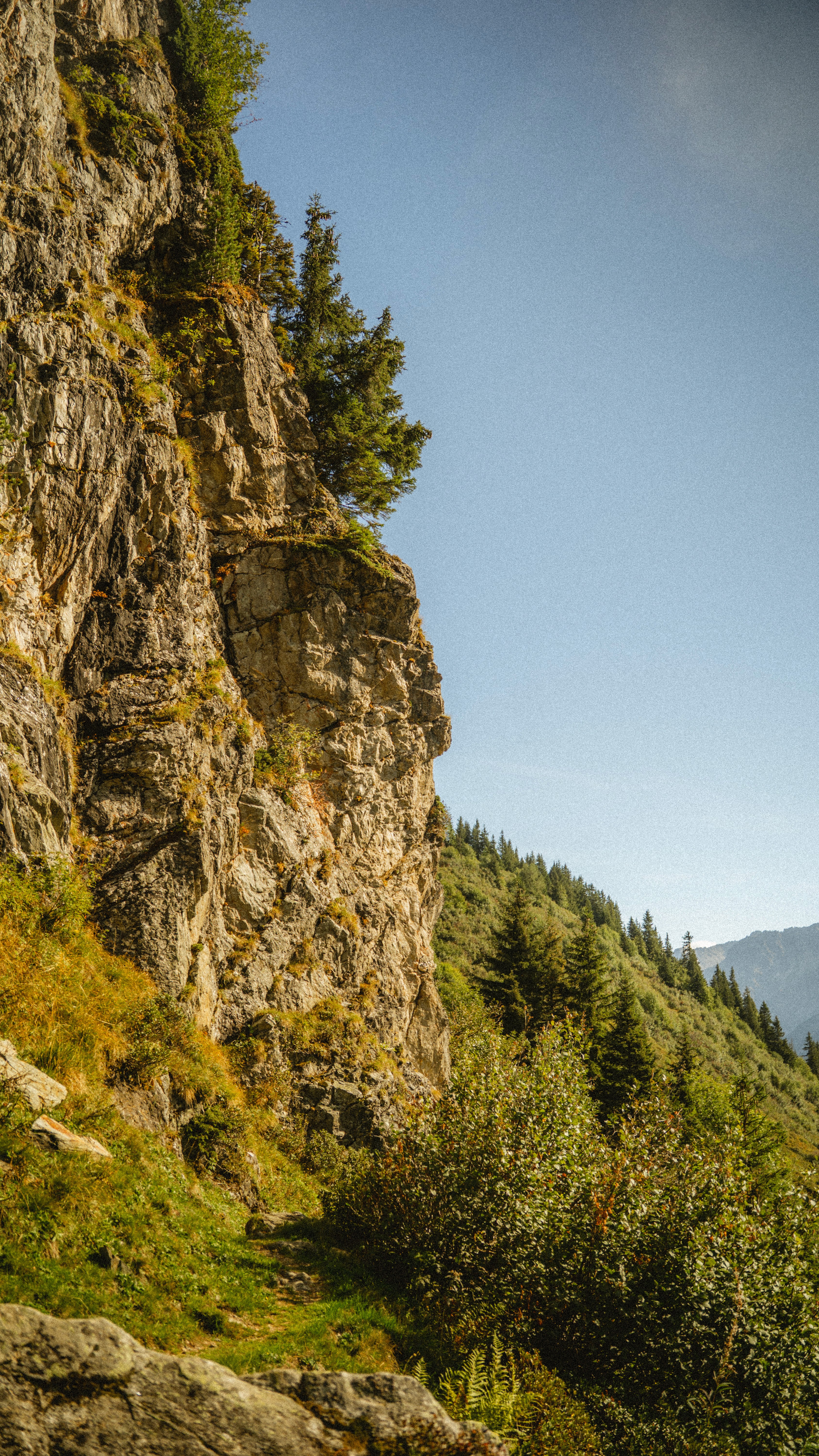 Felswand mit einzelnen Nadelbäumen vor blauem Himmel