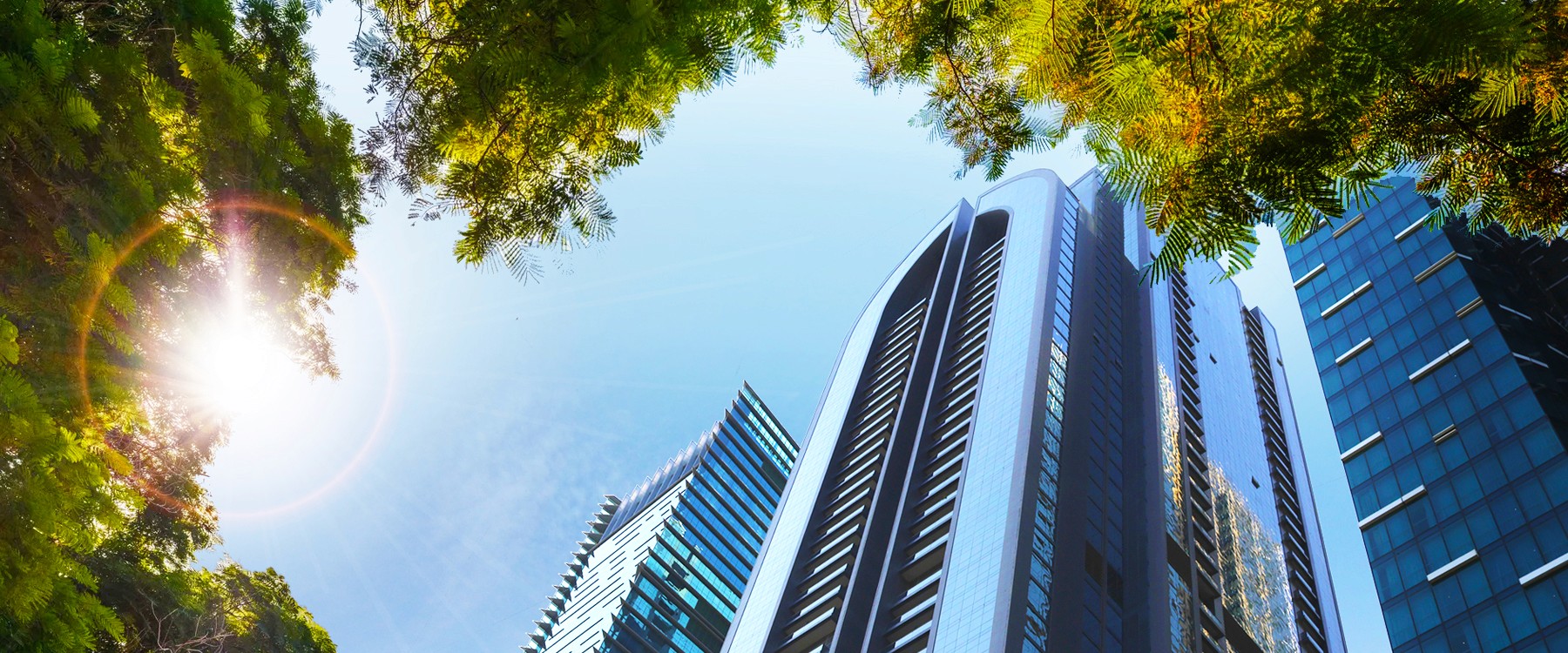 Nasser Abdulla Lootah Group: UAE Diversified