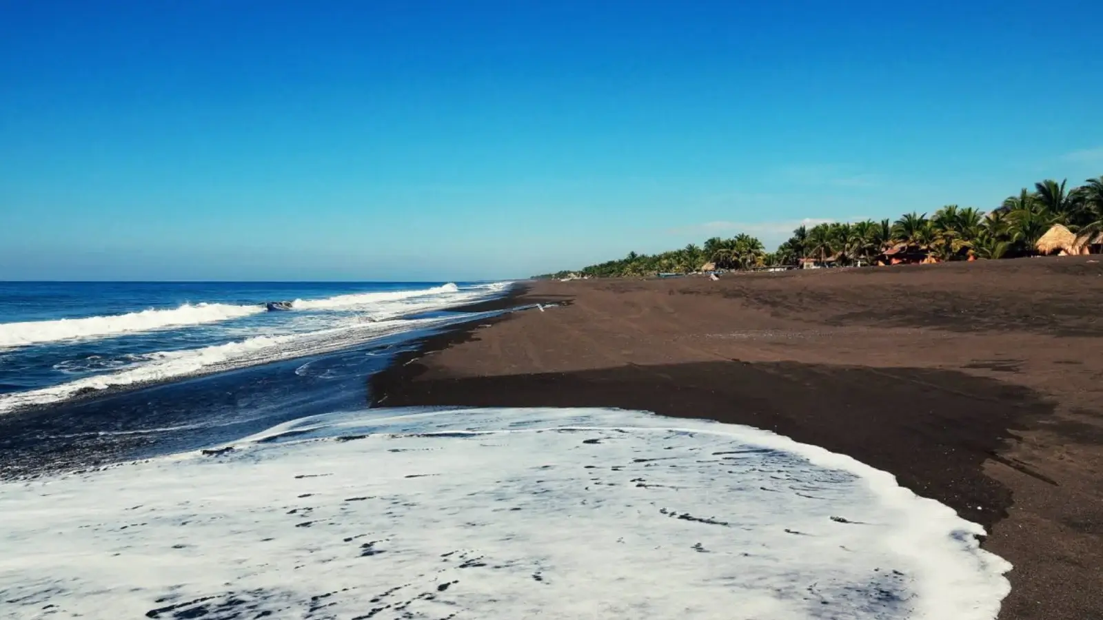 Monterrico