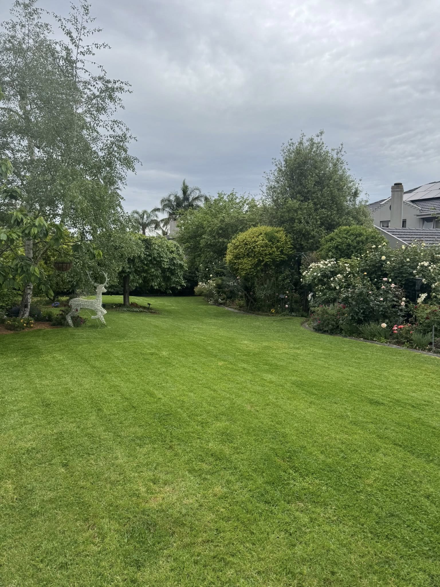 A dense, evenly mown back lawn in a Melbourne eastern suburbs garden cared for by BCW