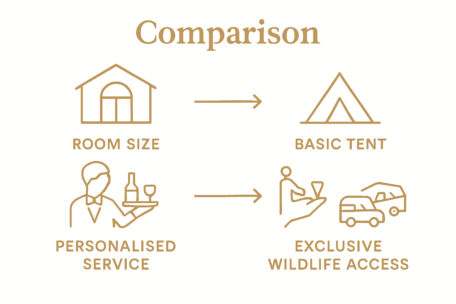 Infographic comparing safari lodge luxury features