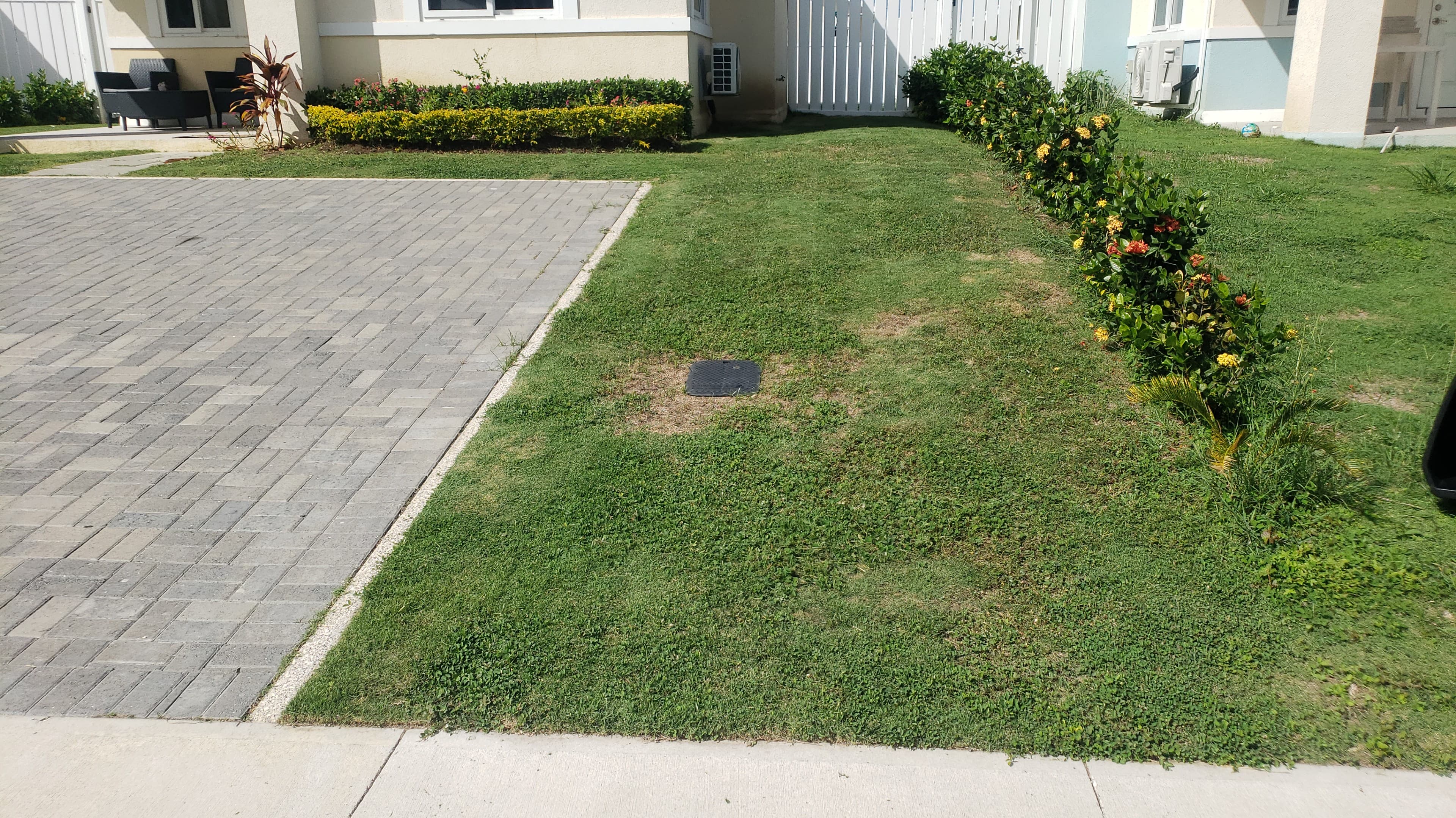 photo showing the end product a cut and clean service