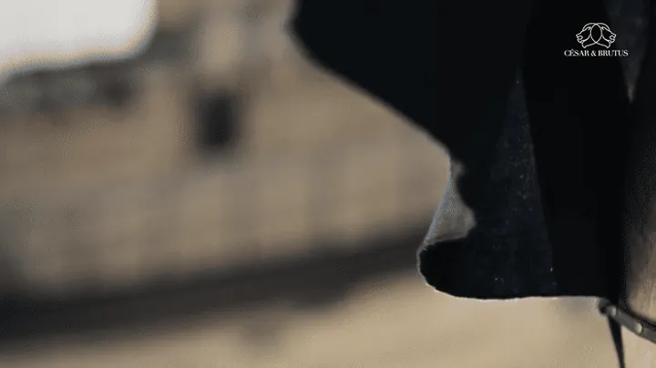 var(--variable-EtrZ3EXXN), film produit par Pep's pour var(--variable-iARoUqBlD)