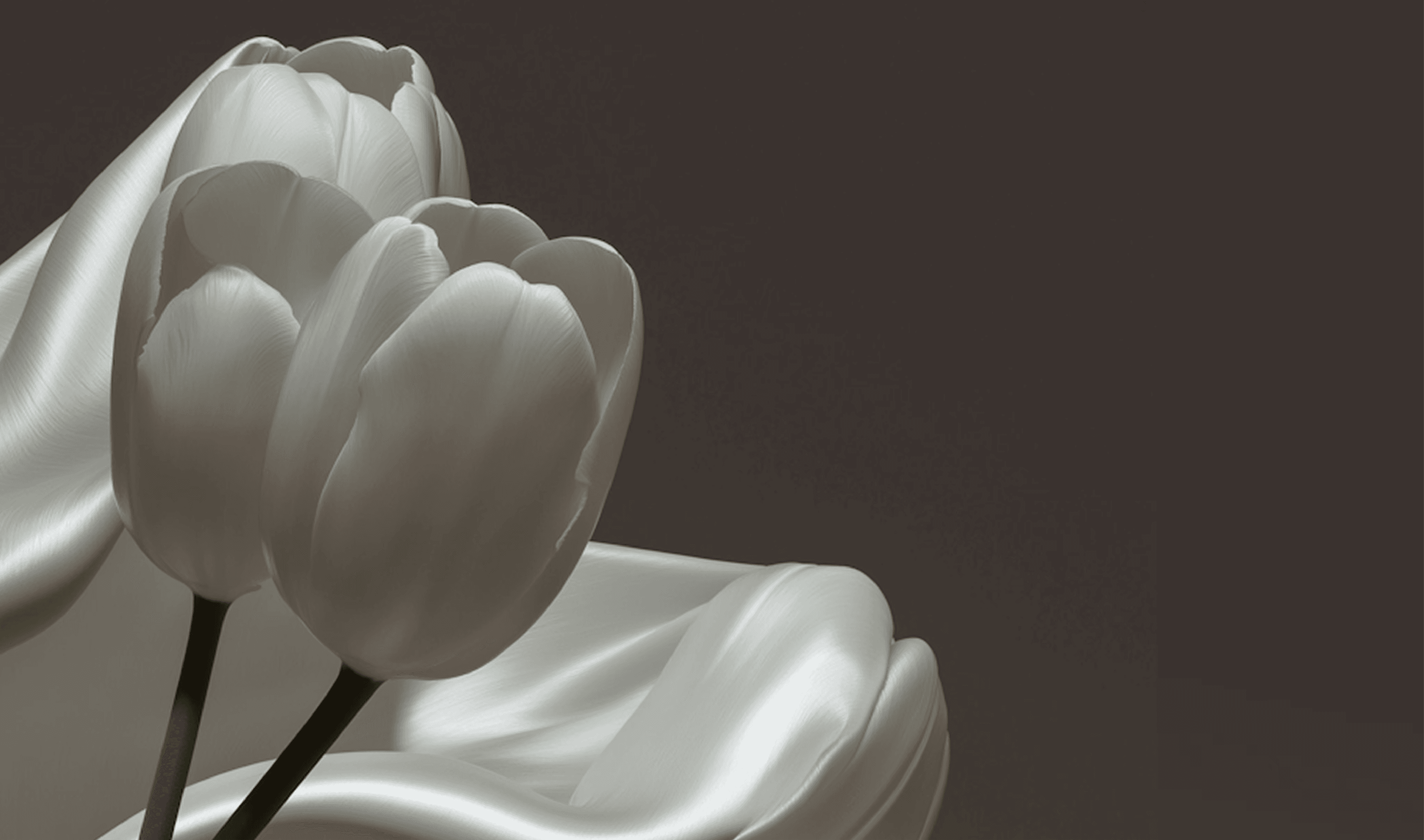 Framer University Logo