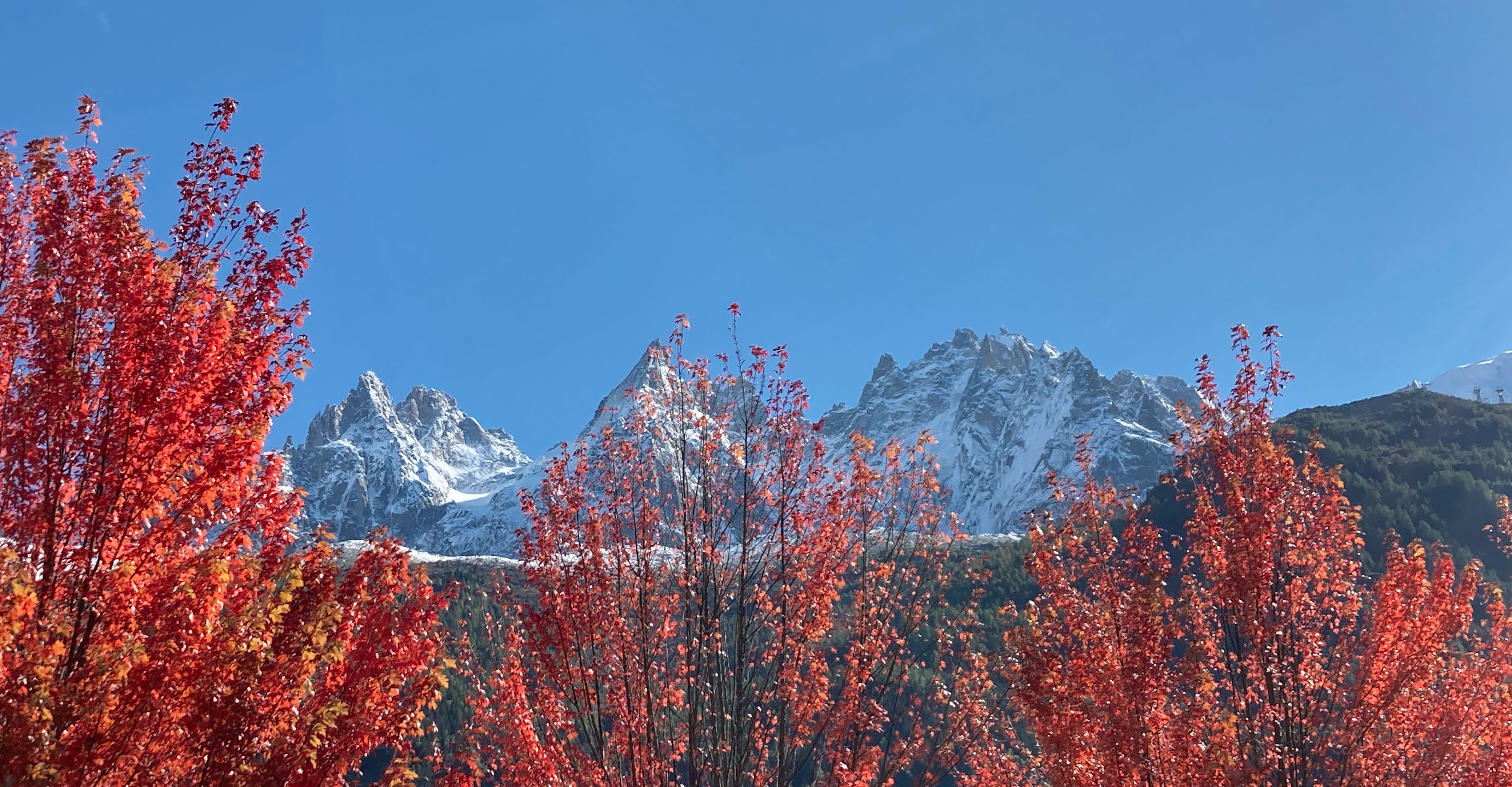 Photo du Mont Blanc à Chamonix.