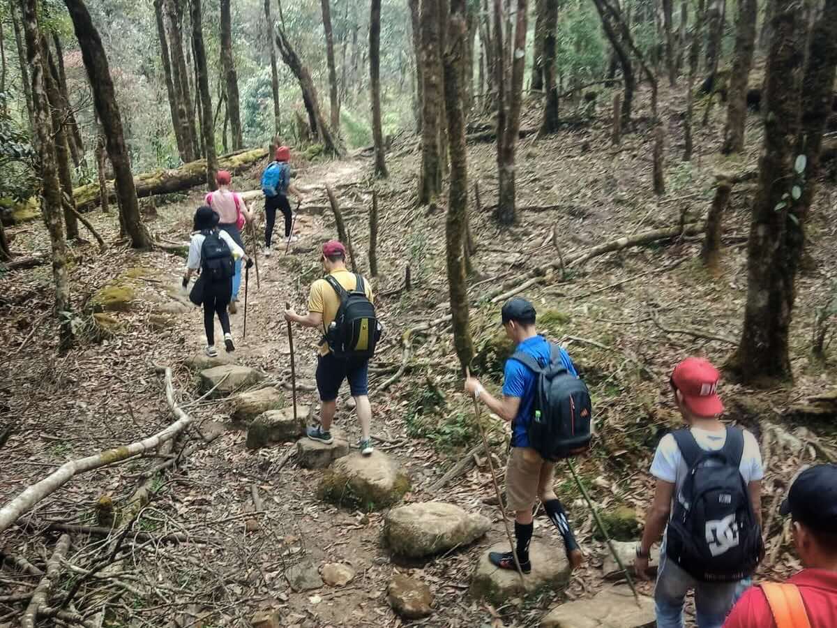 Trekking group walking through mountain forest on the Fansipan trail near Sapa