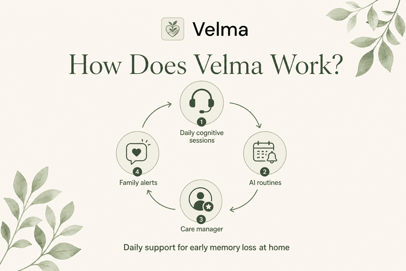 This infographic explains the operational workflow of Velma, a service designed to support individuals with early memory loss at home. It depicts a cyclical process consisting of four steps: (1) Daily cognitive sessions to engage the user, (2) AI-generated routines to structure and manage daily activities, (3) Involvement of a care manager who oversees the user's care, and (4) Family alerts to keep relatives informed of the user's status. The design includes icons representing each step and decorative green foliage elements, emphasizing a nurturing and supportive atmosphere.