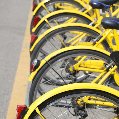 一排停放的黄色自行车，从后面看，并排排列在铺装表面上，中间有一条黄色分隔线。