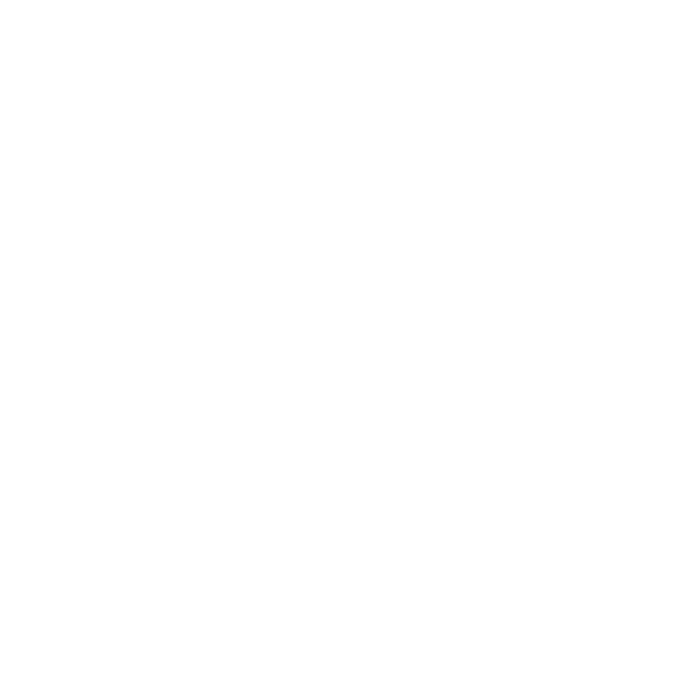 Instagram Icon