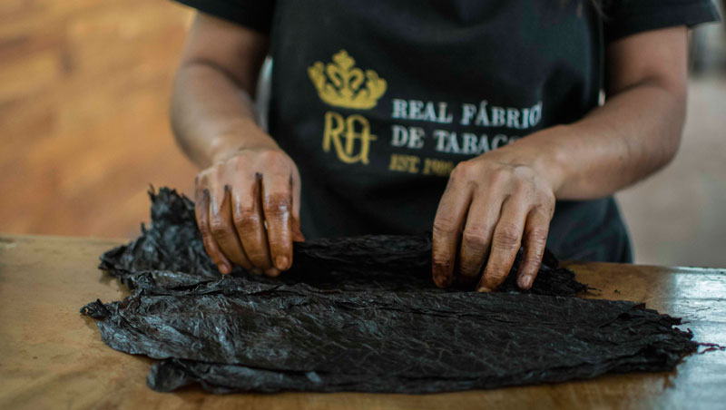 Chazaro Cigars