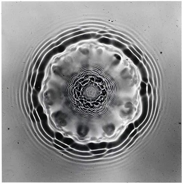 Fashion portrait photography