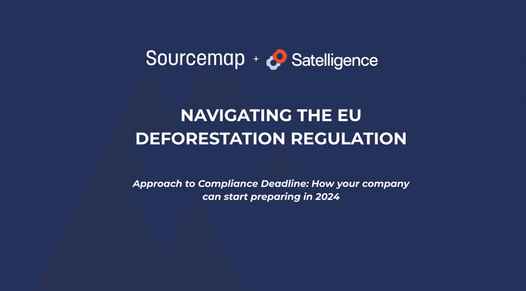 Video | Navigating the EU Deforestation Regulation