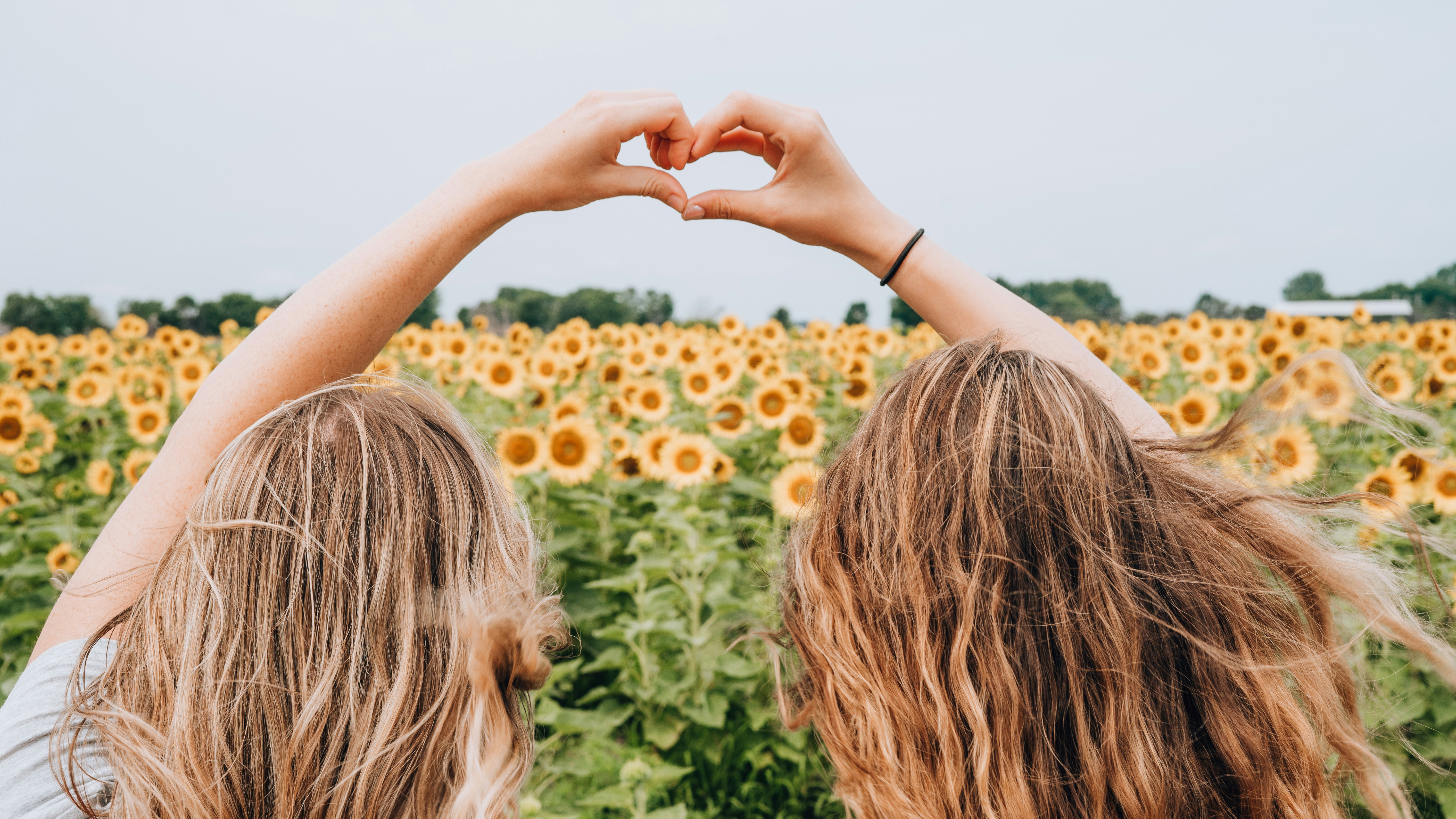 women in a field - Light Spring Color Analysis