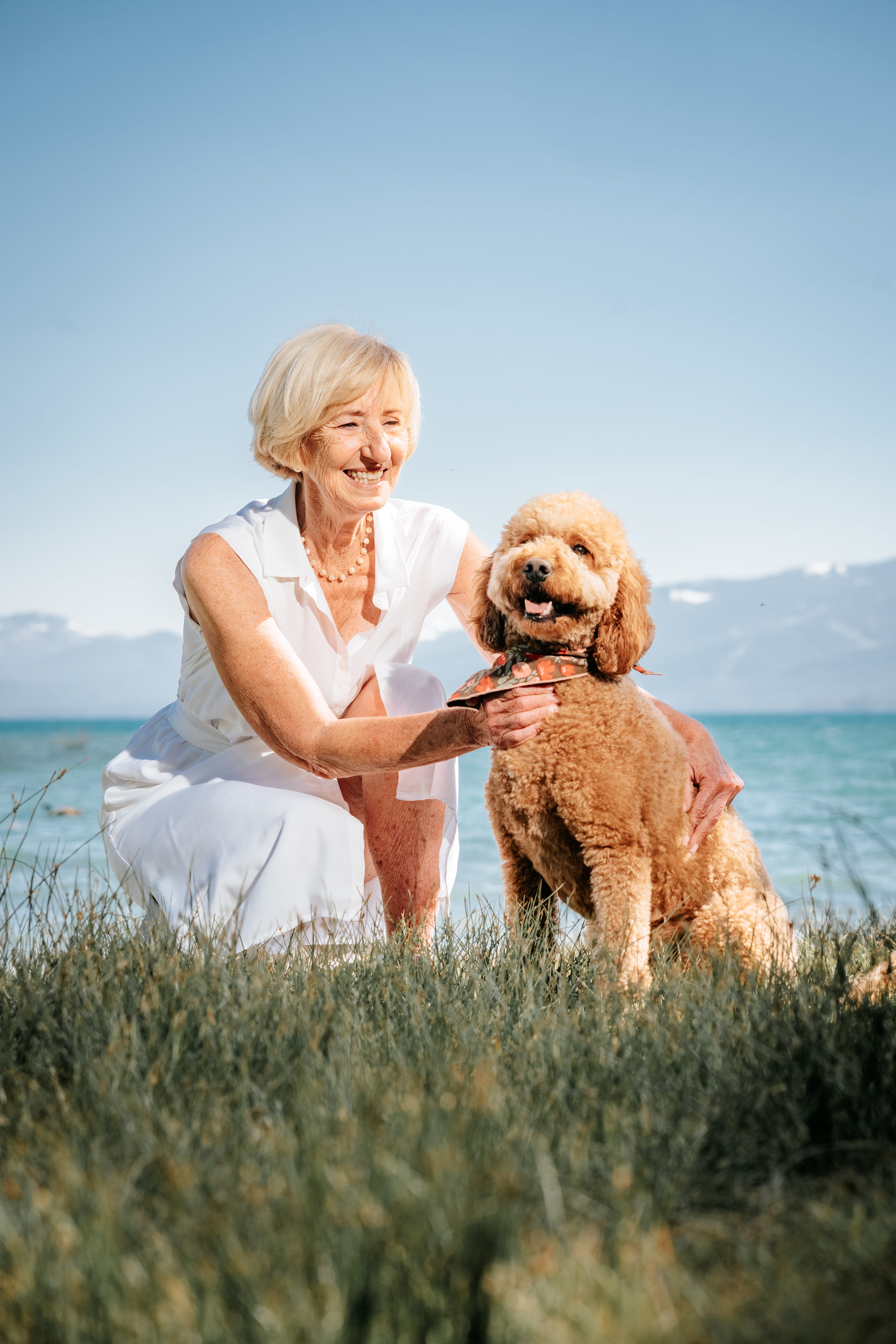 A bride and groom share a kiss surrounded by a joyful bridal party.