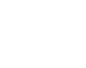 SBT logo