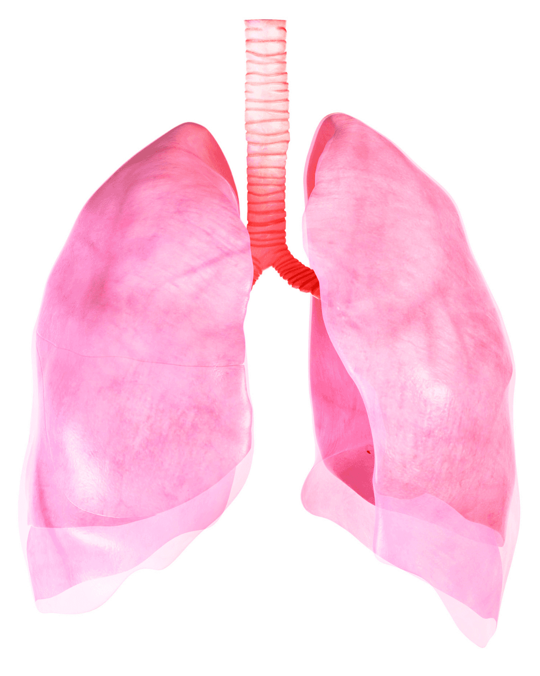 stethoscope on a computer keyboard