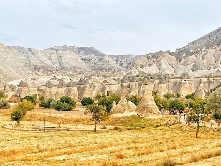 PHOTO-2023-10-20-16-10-34 (1).jpg