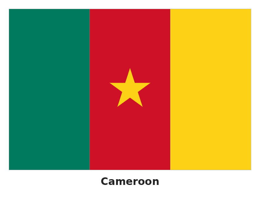 Cameroon flag