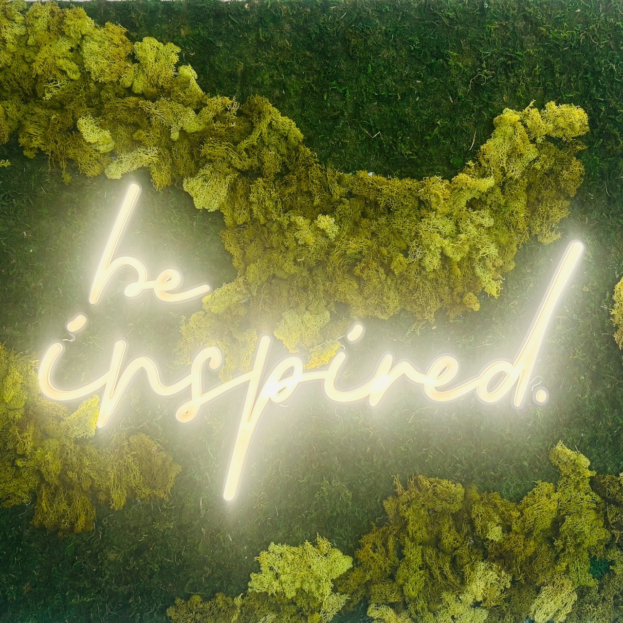 Be Inspired Moss Wall