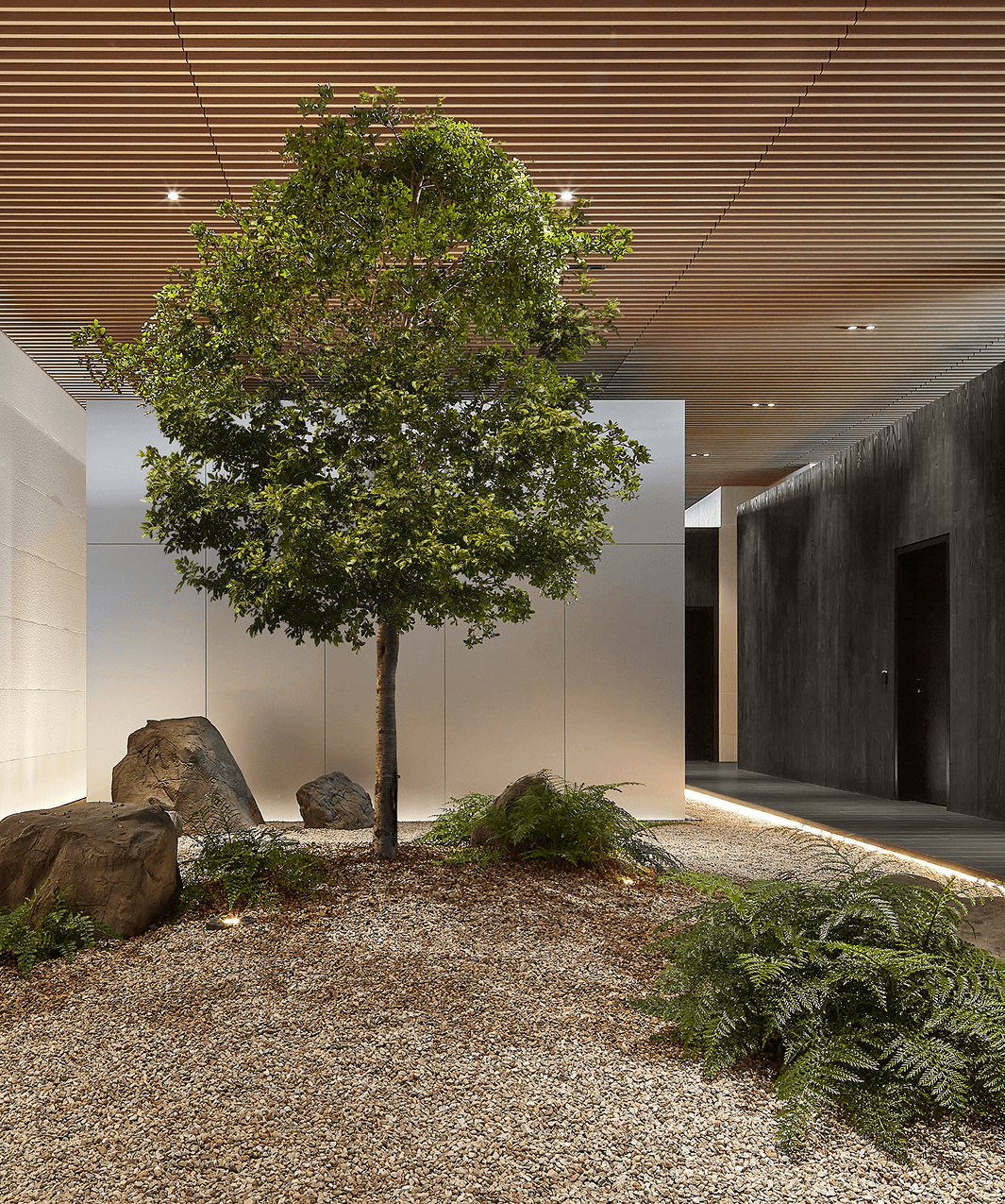 Indoor courtyard with a tree, natural stone, and minimalist wood ceiling in a modern clinic.