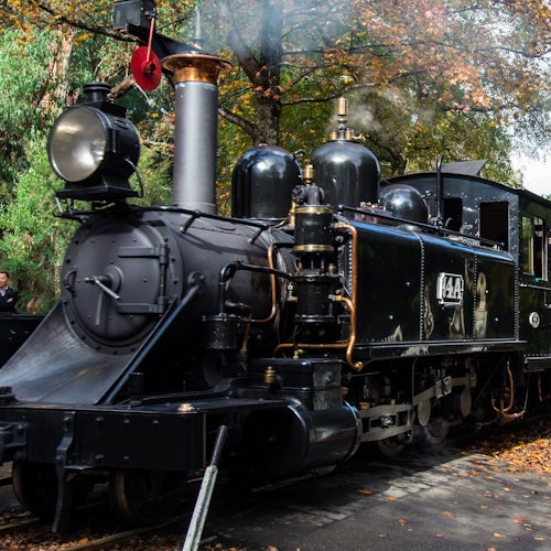 Tour panoramico in autobus di Puffing Billy e Santuario di Healesville