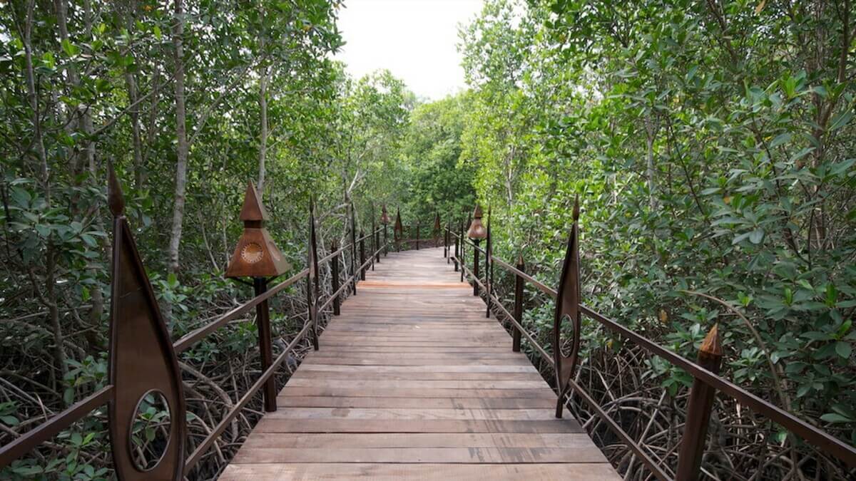 Abuko nature reserve Gambia