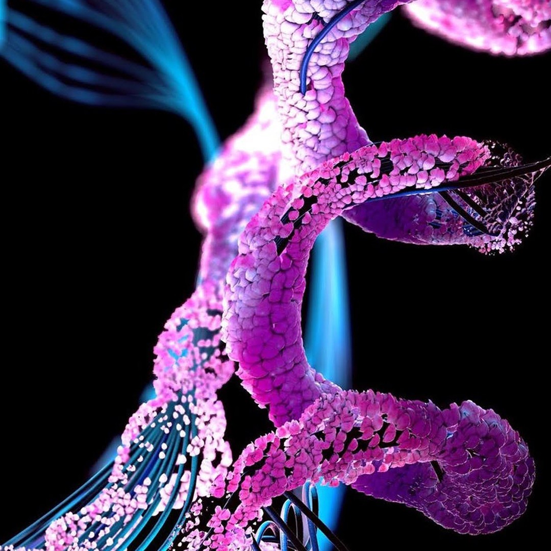 3D representation of the DNA chain structure.