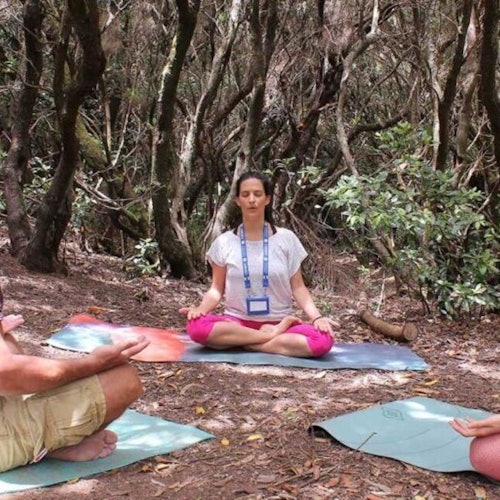 Parque Rural de Anaga: Bilhetes para Visita Guiada à Floresta com Atividades de Bem-Estar em San Cristóbal De La Laguna