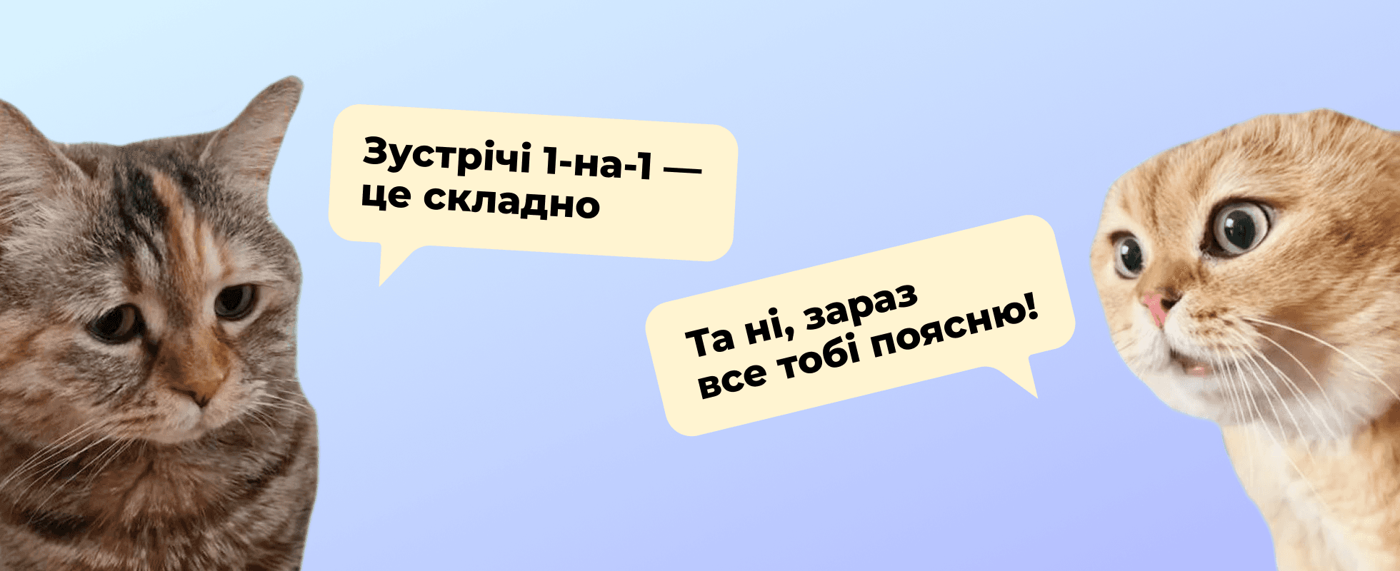 Ілюстрація до статті «Зустрічі 1-на-1. Навіщо вони потрібні та як їх проводити?»: два коти з репліками «Зустрічі 1-на-1 — це складно» та «Та ні, зараз все тобі поясню!» на блакитному тлі