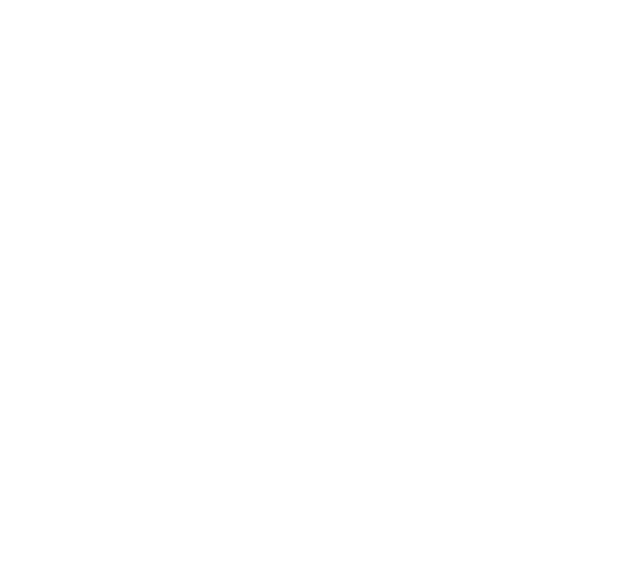 Zimmerei Holz:Raum Logo