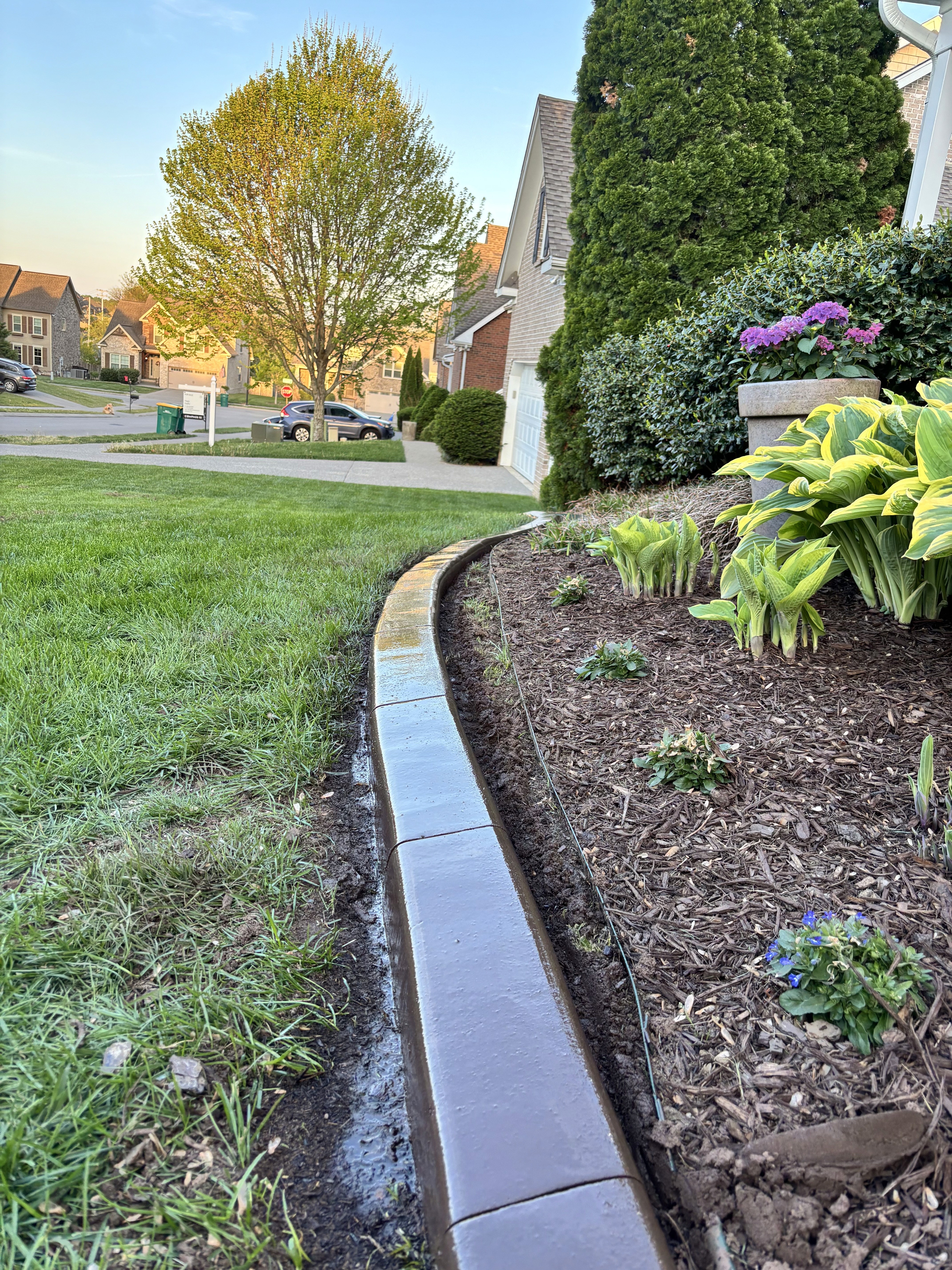 Planting works