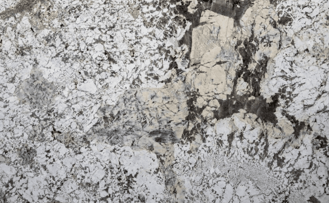 Patagonia White Falcon